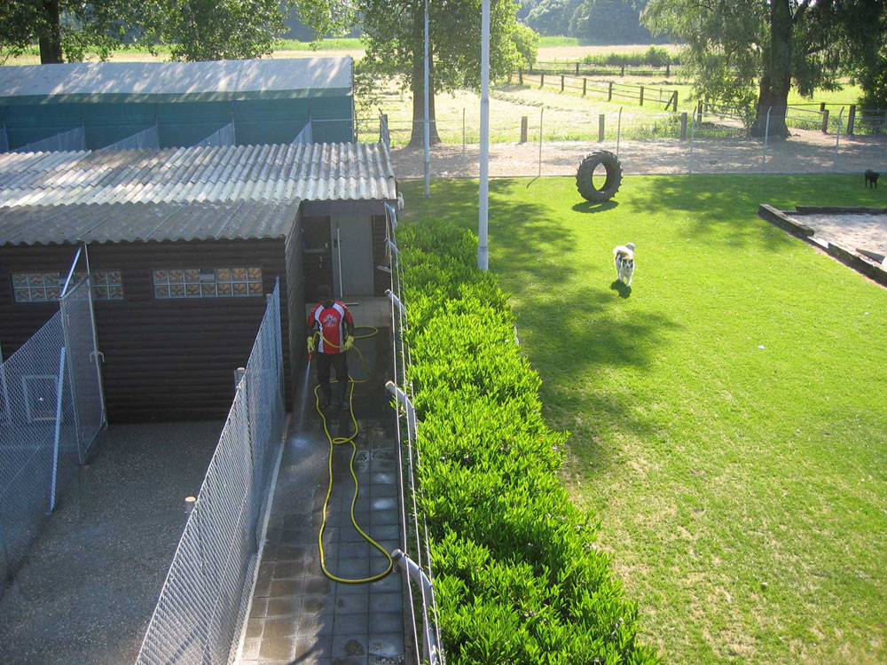 Auslauf im Hundeparadies Hundepension Wesel Auslauf im Hundeparadies Hundepension Wesel