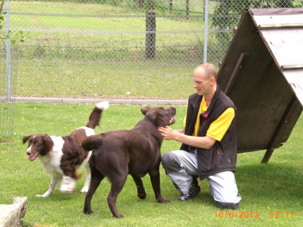 Hund im Hundeparadies Hundepension Wesel Hund im Hundeparadies Hundepension Wesel